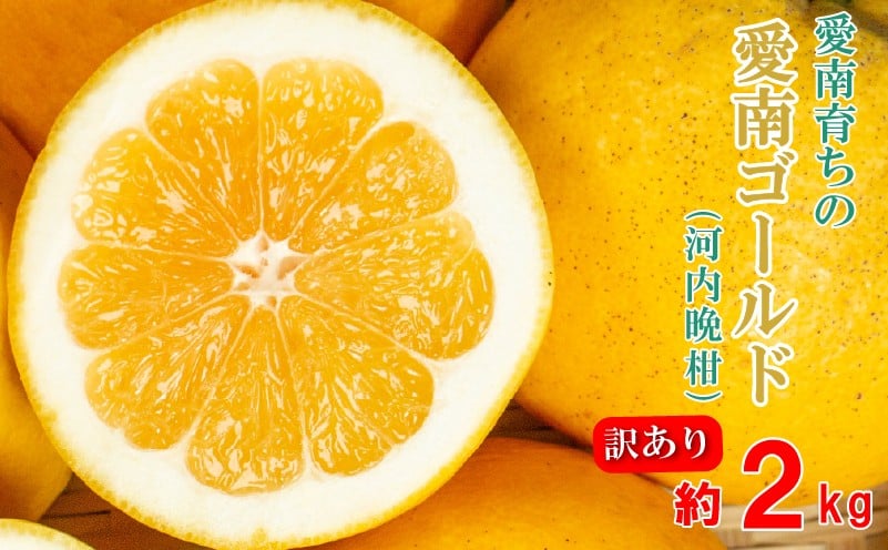 
                  【先行予約】 訳あり 愛南ゴールド 2kg 5000円 みかん かわちばんかん わけあり ミカン mikan 愛南ゴールド あいなん ゴールド 家庭用 少量 お試し 文旦 グレープフルーツ 和製 家庭用 産地直送 国産 農家直送 期間限定 数量限定 先行 受付 事前 予約 ビタミン 特産品 ゼリー ジュース 人気 限定 さわやか 甘い フルーツ 果物 柑橘 蜜柑 規格外 青果市場 愛南町 愛媛県
                