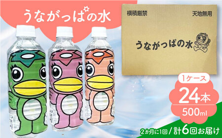 【6回定期便】 うながっぱの水 1ケース（ 500ml ペットボトル × 24本 ） 2 多治見市 /多治見市観光協会 ミネラルウォーター 備蓄[TAQ017]