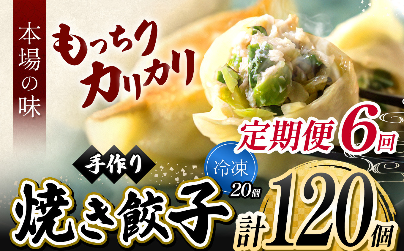 
                  6回 定期便 メディアで話題！ 地元野菜 ・ 国産素材 を使用 手作り焼き餃子 ( 冷凍 ) 20個 【 手作り餃子の店 吉春 】 |  料理 食品 ぎょうざ ギョーザ 餃子 水餃子 冷凍餃子 人気 にんにく不使用 にんにくなし ニンニク不使用 食べ切り お惣菜 定番 もちもち カリカリ お取り寄せ 豚肉 豚 小麦 北海道小麦 キャベツ にら しょうが 国産 グルメ 本場 麺点師 国領 調布 東京
                