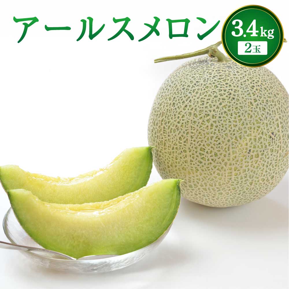 【ふるさと納税】【先行予約】 メロン アールスメロン 2玉入り 合計 約3.4kg 【2025年6月上旬から下旬に順次発送予定】 サンサンうきっ子宇城彩館 宇城市産 九州産 熊本県産 国産 送料無料