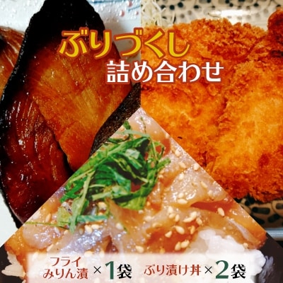 【発送月固定定期便】ぶりづくし詰め合わせ 全4回【配送不可地域：離島】【4012687】