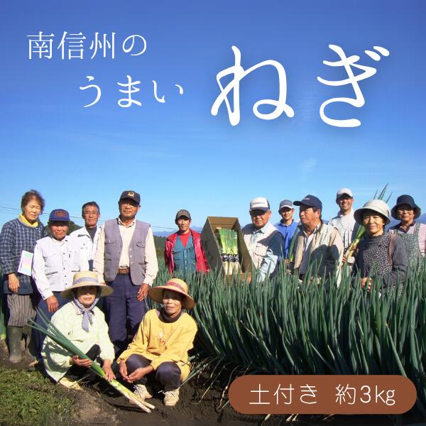 【ふるさと納税】土付きねぎ 約3キロ ／2025年12月中旬〜2026年2月上旬頃配送予定 // 長野県 南信州産 野菜 信州野菜 新鮮 長ネギ ネギ 長ねぎ 白ねぎ 白ネギ JA24