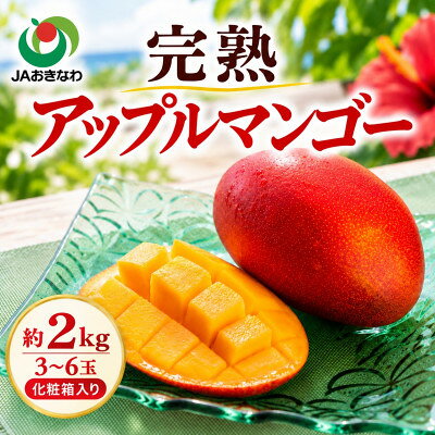 【ふるさと納税】【2027年6月下旬から順次発送・贈答用】JAおきなわ厳選 完熟アップルマンゴー2kg(3～6玉)【配送不可地域：離島】【1390905】