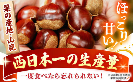 【先行予約】 【渋皮あり・なし両方楽しめる！】食べ比べ やまが和栗 大粒むき栗 計約800g（渋皮付き約200g×2pc・渋皮なし約200g×2pc）小分け【古川農園】[ZES003]