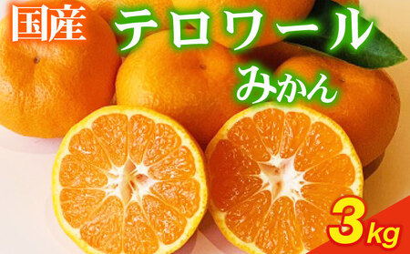 【期間限定発送】みかん テロワール 青島みかん 3kg オレンジ