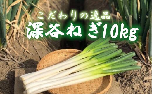 【ふるさと納税】土付き深谷ネギ　10kg　【11218-0538】　# 深谷ねぎ ねぎ 深谷 深谷市 土付き ドロ