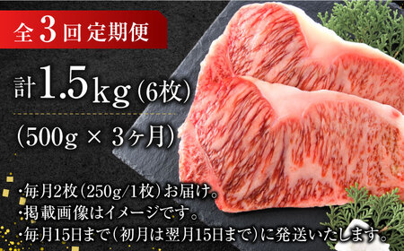 【全3回定期便】【溢れる肉汁と濃厚な旨味】博多和牛サーロインステーキセット 500g（250g×2枚） 広川町/株式会社MEAT PLUS[AFBO006]