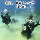 【ふるさと納税】ダイビング 1名様分 奄美島 体験ダイビング 体験 チケット アクティビティ 海 マリンアクティビティ ボート 2.5時間 要予約 1日6名様限定 鹿児島県 奄美市 アクティビティ 運動 スポーツ マリンスポーツ 送料無料