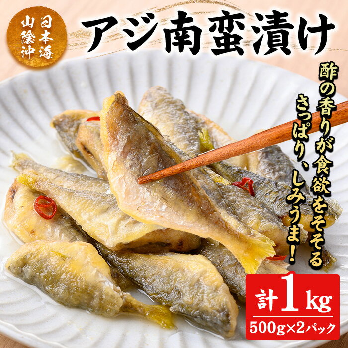 【ふるさと納税】アジ南蛮漬け(計1kg) 鳥取県 日本海 山陰沖 あじ 南蛮 さっぱり 濃厚 鮮魚 魚 魚介 海鮮 海の幸 食品 食べ物 惣菜 お惣菜 おかず ご飯のお供 おつまみ お取り寄せ ご当地 冷凍 酢酸 クエン酸 有機酸 タンパク質 【sm-CD016】【羽根】