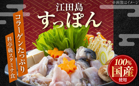 すっぽん切り身400g すっぽん[XAC002]