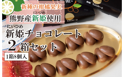 
新姫(にいひめ)チョコレート 2箱セット 瀧のしずく
