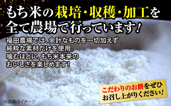【先行予約】＜12月25日～年内順次発送＞ 杵つき餅 ひら餅 10個×3 お餅 杵つき 餅 おせち モチ 雑煮 広島 三次市 / 福田農場 [APBM014]