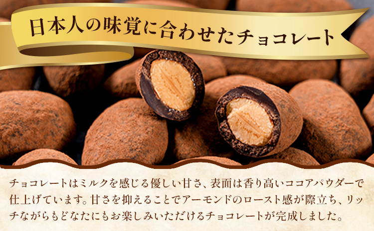 チョコ チョコレート ココア アーモンドチョコ 100g《30日以内に出荷予定(土日祝除く)》和歌山県 日高川町 送料無料 スイーツ デザート お菓子 おやつ チョコ アーモンド アーモンドチョコ コ