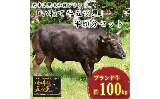 岩手県黒毛和種ブランド『いわて牛五ッ星』半頭分　精肉セット【1637913】