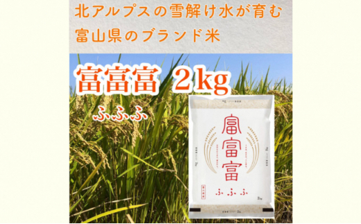 
富山米「富富富」2kg（白米） [№5617-0716]
