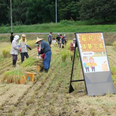 ふるさと納税 多古町 山口さんちの【令和6年産】多古米コシヒカリ(玄米)5kg |  | 03