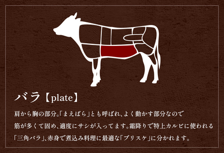 【和牛セレブ】【復興支援】能登牛 牛バラ 焼肉 300g  牛肉 最高級 黒毛和牛 和牛 肉汁