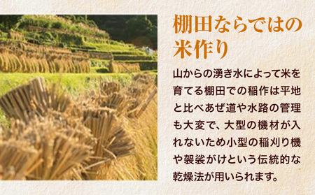 【先行予約】棚田米 無洗米 10kg 米