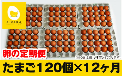 
【定期便】12ヵ月連続お届け　美ら卵養鶏場の卵　各月120個
