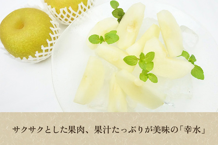 【2026年先行予約】たかはし果樹園 謹製 新潟県産和梨 幸水 約5kg《8月中旬～順次配送》こうすい