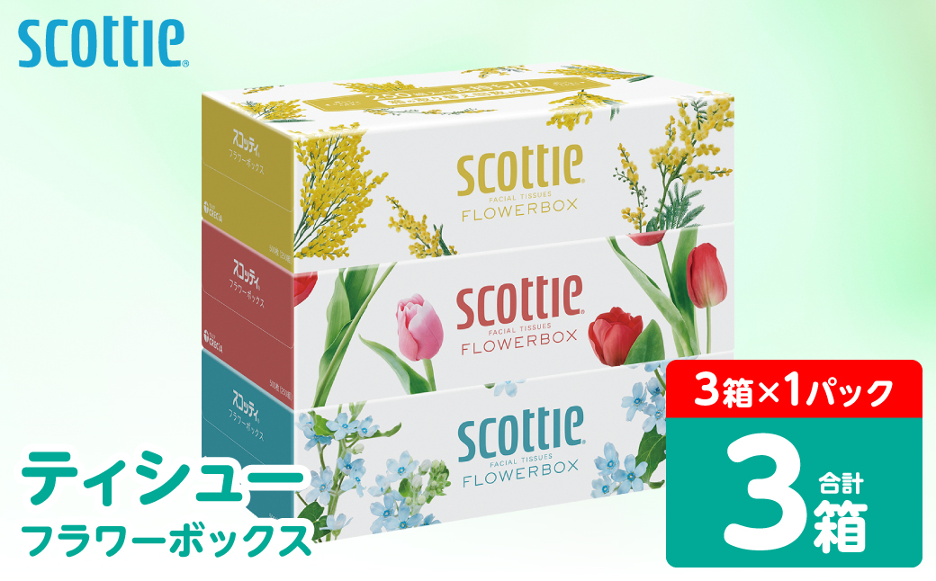 ＼スピード発送／【スコッティ】 ティシュー フラワーボックス 250組 3箱 ティッシュ 日用品 生活必需品 防災備蓄 ストック 備蓄 新生活 防災 消耗品 生活用品 日用消耗品 箱ティッシュ スピード発送 【7営業日以内に発送】