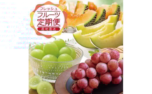 SE0319　【3回定期便】農家直送 フレッシュフルーツ定期便2025 (庄内メロン、青ぶどう、赤ぶどう)