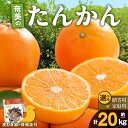 【ふるさと納税】【2025年先行予約】＜選べる＞ 奄美のたんかん 20kg 家庭用 or 贈答用 皮むき器 情報誌付 たんかん 果物 フルーツ 柑橘 奄美産 国産 数量 期間 限定 自宅用 みしょらんガイド 美味しい しーま 鹿児島 奄美市 おすすめ ランキング プレゼント ギフト