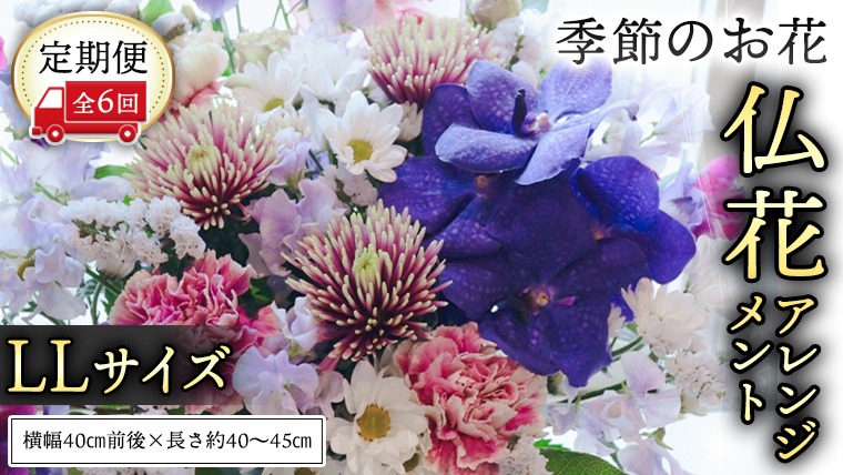 【 定期便 6か月 】季節の お花 の 仏花 アレンジメント LL ギフト プレゼント 花 お祝い 贈答 記念日 フラワー  [CT147ci]