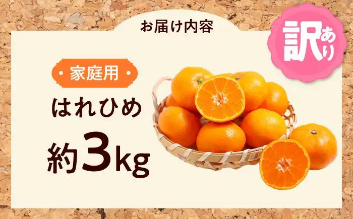 みかん 訳あり はれひめ 約3kg フルーツ 果物 みかん 訳あり BJAZ003