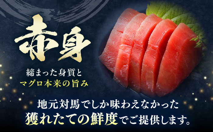 【全6回定期便】対馬産 本マグロ 赤身100g ≪対馬市≫【桐谷商店】 トロの華 対馬 新鮮 マグロ 赤身 鮪 刺身 [WAQ109]