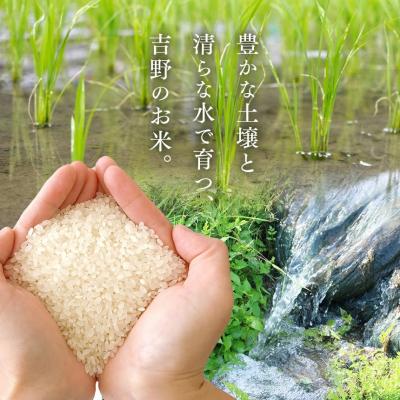 ふるさと納税 吉野町 無洗米大和銘米ひのひかり5kg |  | 02