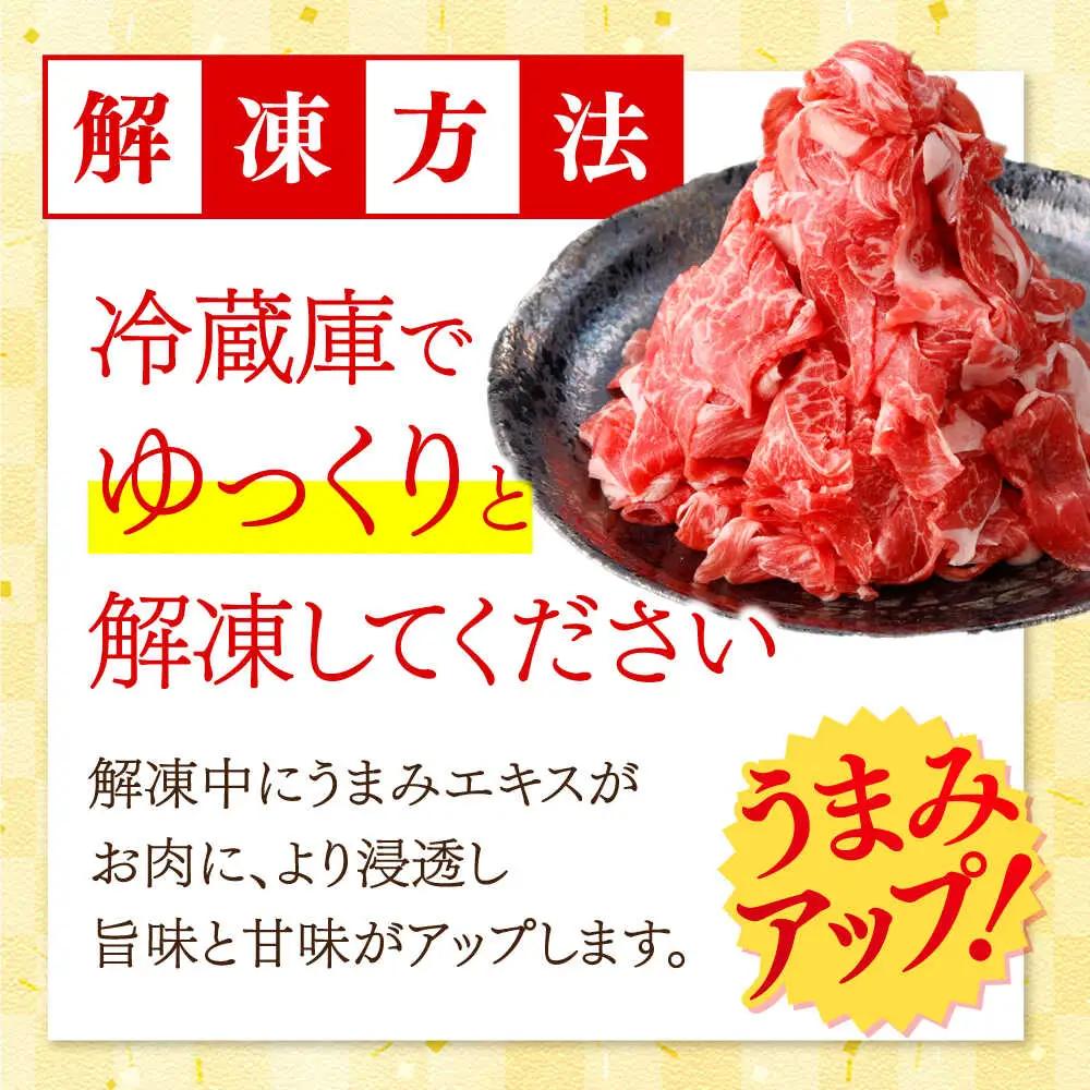 【12回定期便】国産 黒毛和牛 熟成肉 切り落とし 500g / 小分け 国産牛 お肉 牛肉 切落し 冷凍 焼肉 すき焼き / 南島原市 / ふるさと企画[SBA099]