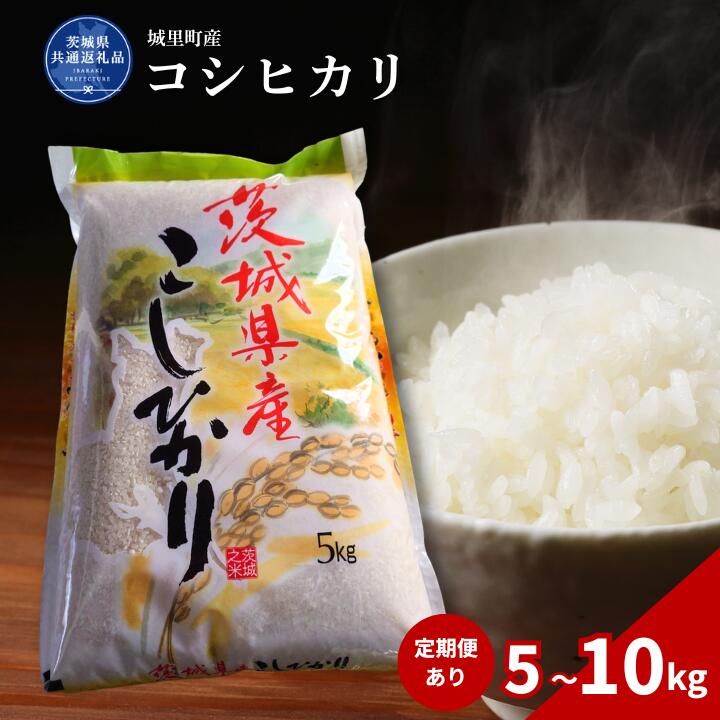 【ふるさと納税】米 こめ コメ 令和7年産 5kg 10kg お米 定期便 選べる容量・回数 コシヒカリ 5kg~10kg / おこめ コシヒカリ こしひかり 白米 精米 ごはん ご飯 国産 送料無料 茨城県 城里町 利根町 （茨城県共通返礼品・城里町産）
