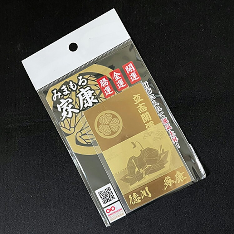 【ふるさと納税】 お守り 開運 みまもる家康「立志開運」 [ダイテック 愛知県 岡崎市 ok23bzx090006] プレート 開運守り ふるさと納税 ふるさと 返礼品