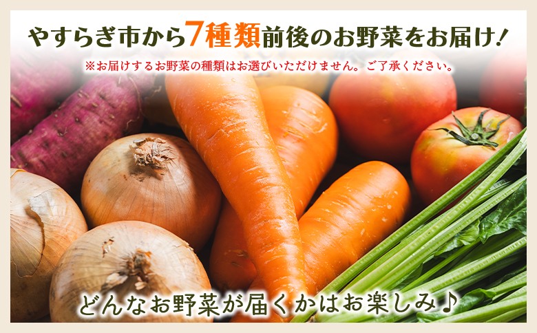 やすらぎ市 産地直送やさいＢＯＸ（7種類前後） - 野菜 ベジタブル おまかせ 詰め合わせ セット 季節 旬 お任せ お楽しみ ヘルシー 国産 特産品 送料無料 やすらぎ市 高知県 香南市 yr-00