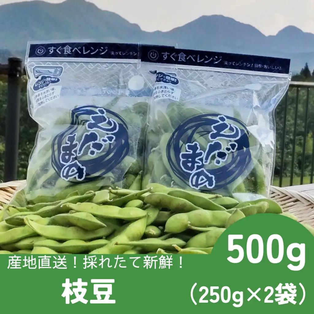 採れたて新鮮！！　高山村の枝豆　５００ｇ