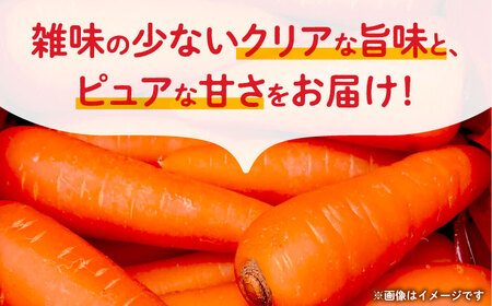 【先行予約】にんじん 約3kg 天日塩＆発酵土壌で作ったこだわりの人参 【株式会社 夢アグリ】[ZCL018]