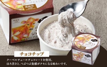 【ジェラート醍醐桜】恋するジャージーチョコチップ 6個セット / 岡山 真庭 【nhss017-01】
