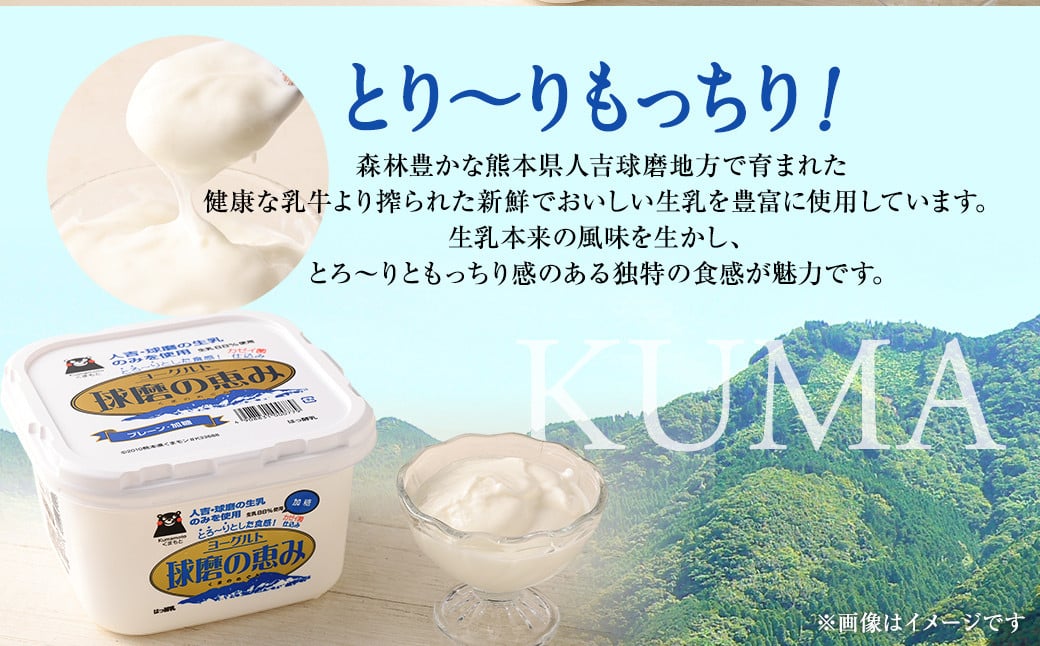 とろ～り食感!!球磨の恵みヨーグルト 加糖タイプ 1kg×3パック