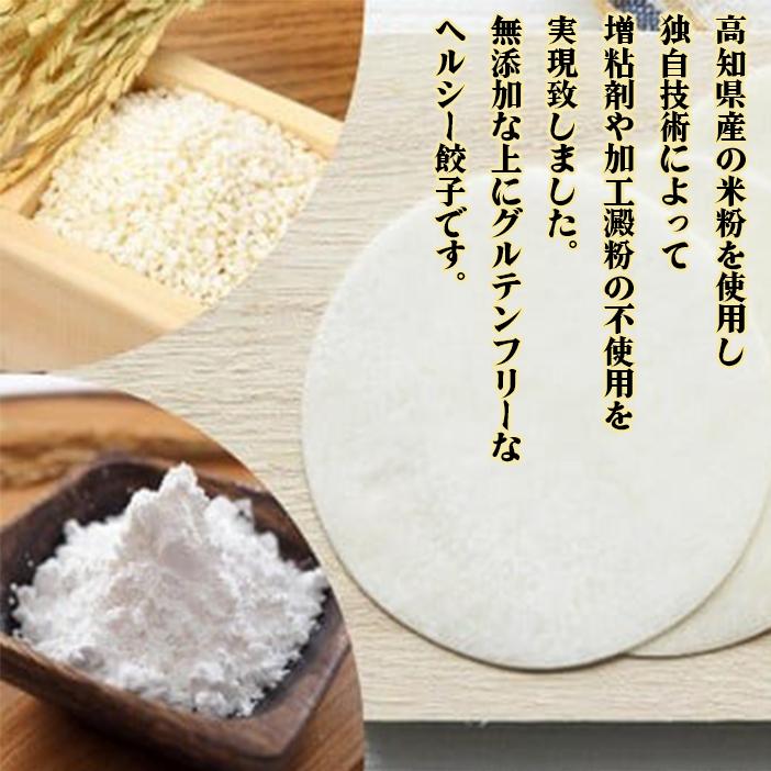 有機葉ニンニクと四万十豚で作った最高級餃子（6個x8パック）完全無添加