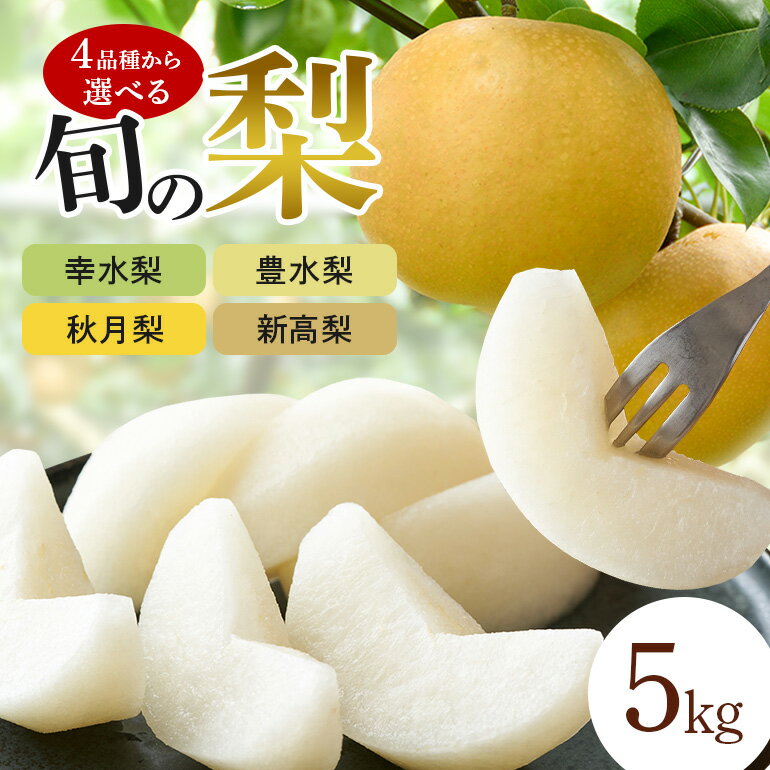 【ふるさと納税】 幸水梨 豊水梨 秋月梨 新高梨 選べる4品種 箱込約 5kg（JA新ひたち野）梨 品種 幸水 なし ナシ 果物 フルーツ 4L 3L 2L Lサイズ 5キロ 夏 秋 旬 産地直送 農家直送 産直 国産 くだもの 甘い 糖度 茨城県産 茨城県 石岡市 送料無料