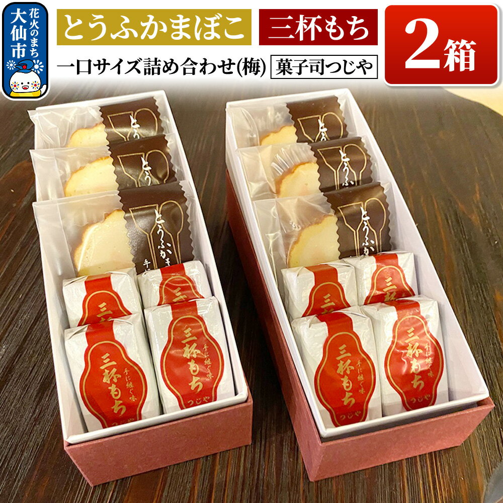 【ふるさと納税】とうふかまぼこ・三杯もち 一口サイズ詰め合わせ(梅)×2箱【菓子司つじや】