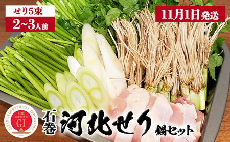 【11月1日発送】せり鍋 セット 2-3人前　せり 長ねぎ パックご飯 スープ 鶏肉 セリ セリ鍋 河北せり 野菜 鍋