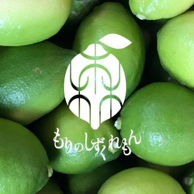 ふるさと納税 松山市 もりのしずくれもん(国産レモン)3kg