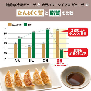 居酒屋監修 ガツンと美味しい ソイプロテイン餃子(30個入×2袋)