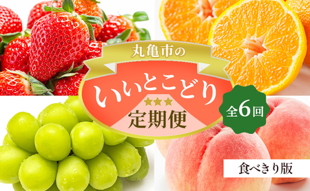 【全6回】フルーツ定期便 いいとこどり定期便 食べきり版