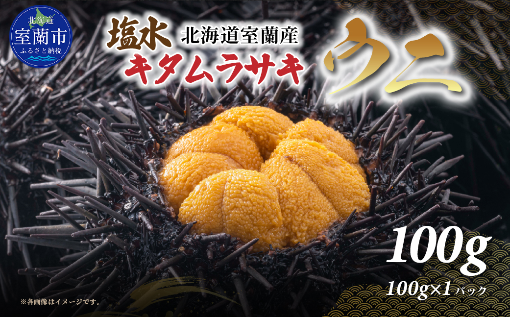 北海道室蘭産 キタムラサキウニ（塩水ウニ）（100g×1パック）【2026年7～9月中旬頃順次発送】 MROBQ001