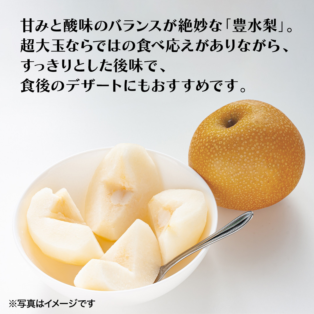 豊水 超大玉 約 3kg 3～4玉 (茨城県共通返礼品:かすみがうら市) 2026年 マスカット ぶどう 葡萄 ブドウ フルーツ 果物 くだもの 旬 食べ比べ セット 詰め合わせ 国産 産地直送 ギフ