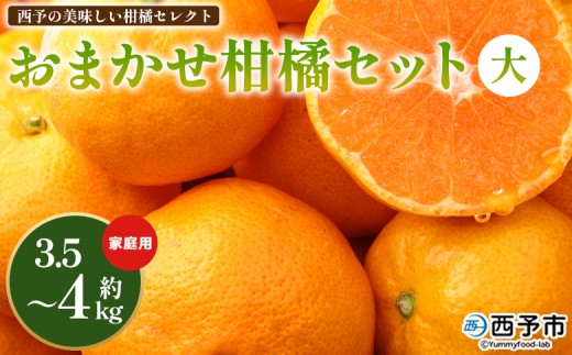 【予約受付】＜西予の美味しい柑橘セレクト（ご家庭用）／おまかせ柑橘セット（大）約3.5～4kg＞【2027年2月に順次発送】 果物 くだもの フルーツ 蜜柑 みかん ミカン 柑橘 ご家庭用 温州みかん 食べて応援 国産 愛媛県産 特産品 西予みかん倶楽部 愛媛県 西予市【常温】