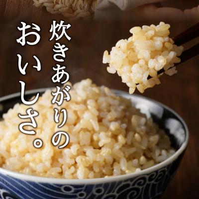ふるさと納税 焼津市 令和7年産　マグロによく合うお米 コシヒカリ 玄米 5kg(a12-294) |  | 01